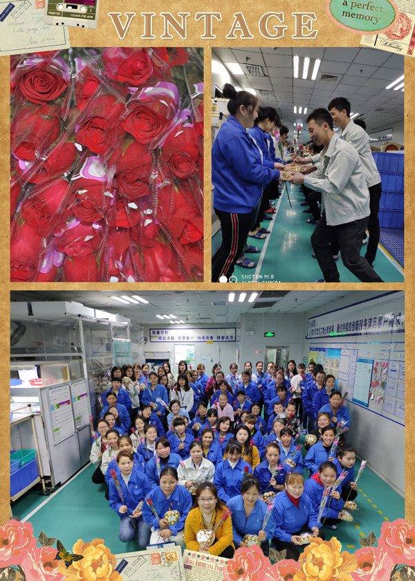 db视讯光电女神节